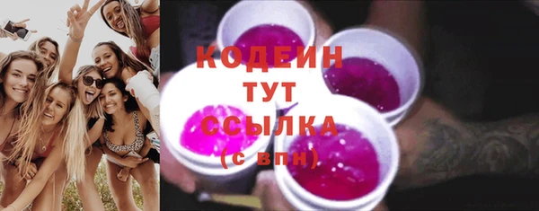 ГАЛЛЮЦИНОГЕННЫЕ ГРИБЫ Дмитриев